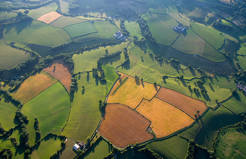 Vision for a greener UK